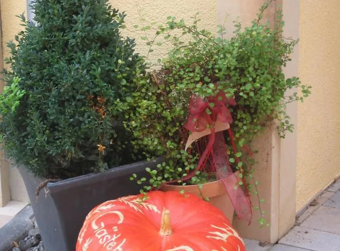 Gaestehaus Ressler Casa de hóspedes Harxheim