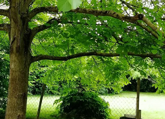 Gaestehaus Ressler 3*