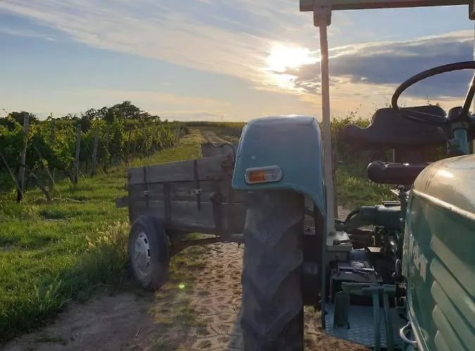 Gaestehaus Ressler Casa de hóspedes